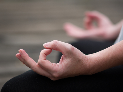Chin Mudra Chin Mudra.jpg